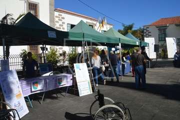 I Feria de Participación Ciudadana y del Voluntariado de Telde (Foto TA)